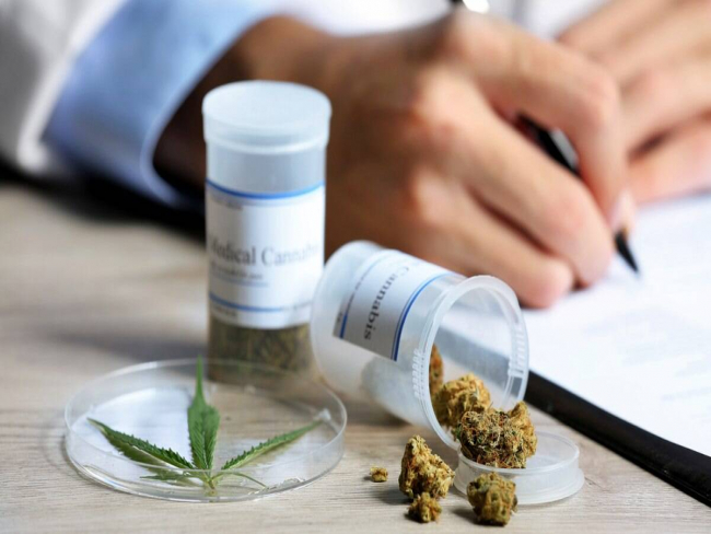 Anvisa aprova dois novos produtos à base de Cannabis