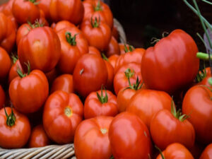 Tomate tem alta de preços há 20 semanas; por que ele lidera aumentos?