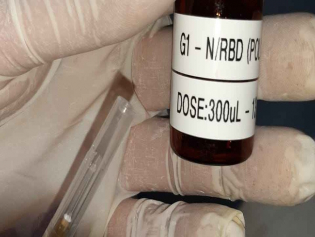UFMG inicia testes da vacina contra a Covid 19 em macacos