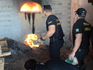FOGO: 572 kg de drogas e materiais usados por traficantes foram destruídos pela PF   Rondoniaovivo.com