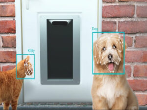 Porta inteligente para pets funciona com reconhecimento facial; veja