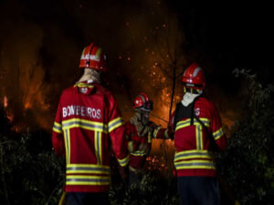 Fogo em Góis leva mais de 300 bombeiros e 9 meios aéreos para o terreno