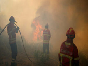 Incêndio em Alijó lavra com intensidade. Meios protegem área florestal