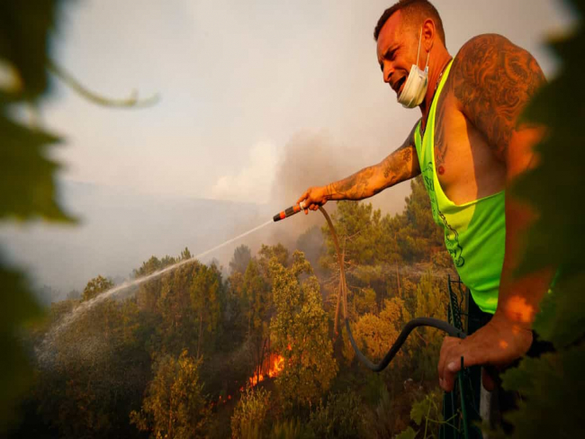 Populares e emigrantes ajudam a combater chamas em Vila Pouca de Aguiar