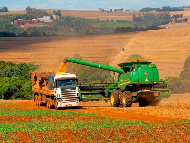 AGRICULTURA: Pronaf disponibilizará R$ 60 bi para financiar Plano Safra 2022/23   Rondoniaovivo.com