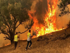 Argélia: incêndios florestais matam ao menos 38 pessoas