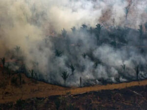 DEVASTAÇÃO: Amazônia lidera número de queimadas de janeiro a julho de 2022   Rondoniaovivo.com