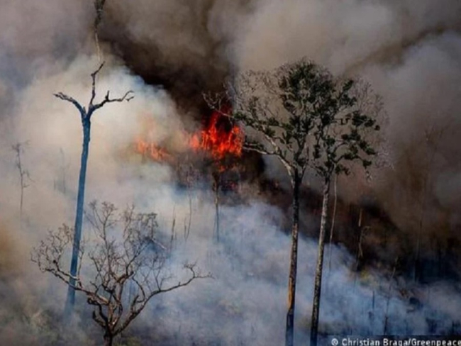 DEVASTAÇÃO: Amazônia tem 8% mais incêndios em julho em relação a 2021   Rondoniaovivo.com