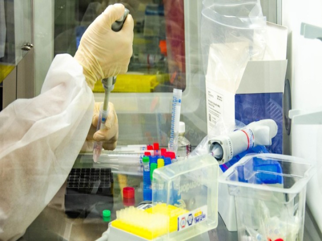 Fiocruz pede registro de dois testes moleculares para monkeypox