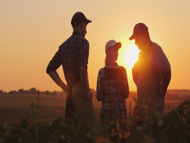 INFORMAÇÃO: Governo cria projeto para apoiar extensionistas e agricultores familiares   Rondoniaovivo.com