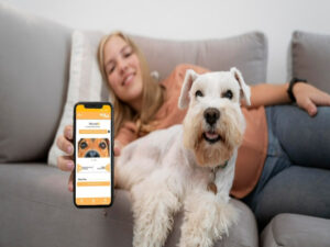 Vet4All começa a oferecer assistência à saúde para pets via internet