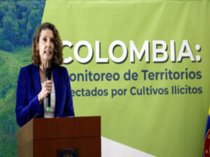 Cultivos de coca cresceram 43% na Colômbia em 2021, aponta ONU