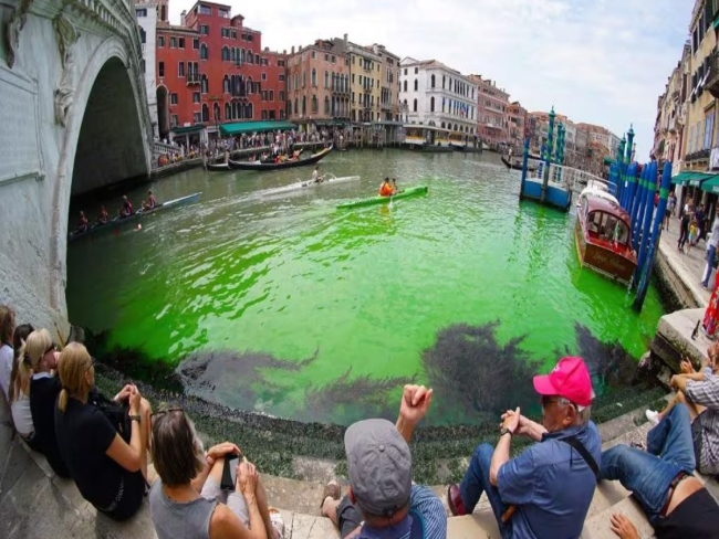 Mancha verde fluorescente em canal de Veneza não é tóxica; entenda