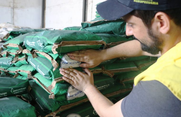 Trabalho da Idaron, na análise de sementes que chegam ao comércio, contribui para melhoria da produtividade das pastagens em Rondônia