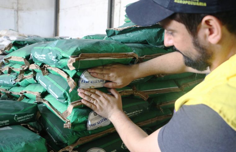 Trabalho da Idaron, na análise de sementes que chegam ao comércio, contribui para melhoria da produtividade das pastagens em Rondônia