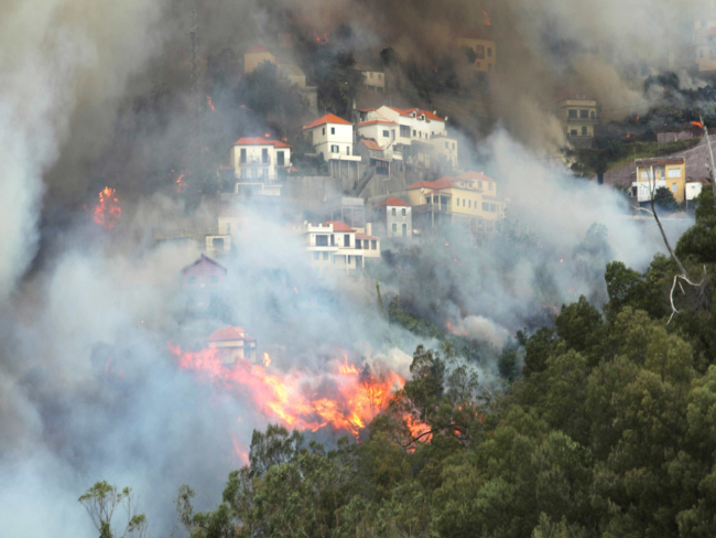 Vinte pessoas receberam apoio psicológico devido aos fogos na Madeira
