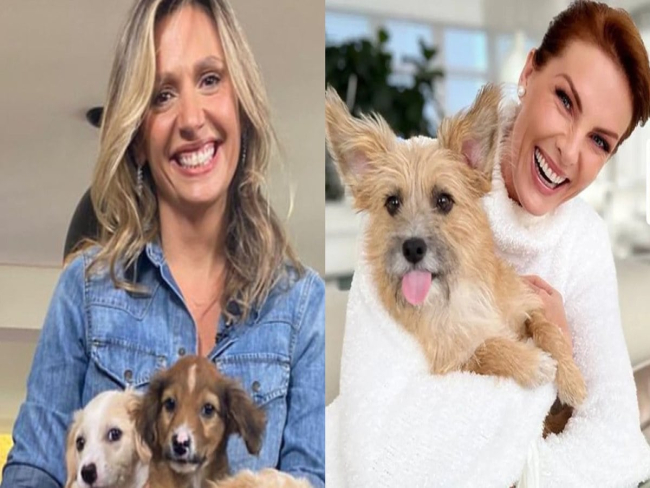 Luísa Mell exalta cachorro que ‘salvou’ Ana Hickmann: ‘Herói’