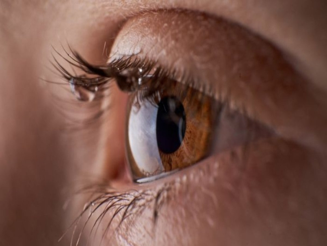 Novo biochip é capaz de imitar a retina humana