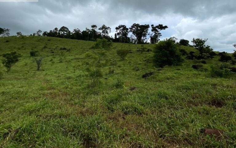 Licença Ambiental é emitida para mineração de ouro e cobre, em Novo Horizonte d’Oeste