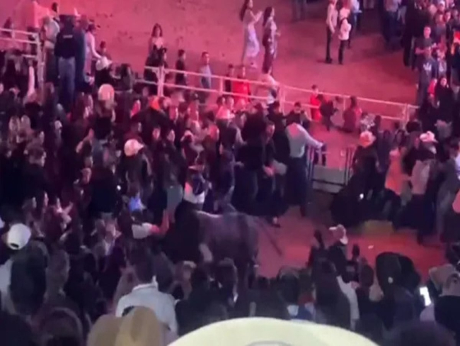 Vídeo: touro invade arena onde público aguardava show de Ana Castela