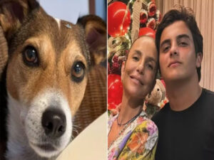 Filho de Ivete Sangalo pede ajuda para encontrar cachorra que sumiu
