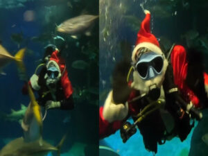 Papai Noel alimenta tubarões e diverte crianças em ação de Natal