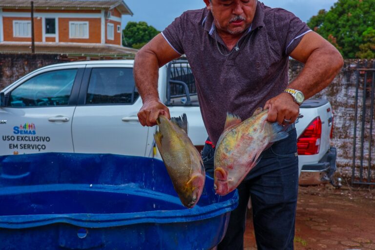 Prefeitura de Espigão do Oeste promove entrega de peixes para famílias atendidas pelo CRAS