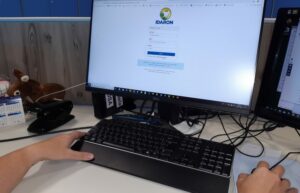 Campanha de declaração de rebanhos da Idaron fecha com adesão recorde ao sistema on-line