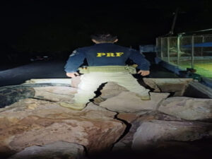 PRF em Rondônia identifica transporte ilegal de 15 toneladas de minério — Polícia Rodoviária Federal