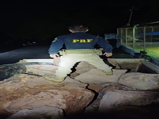 PRF em Rondônia identifica transporte ilegal de 15 toneladas de minério — Polícia Rodoviária Federal