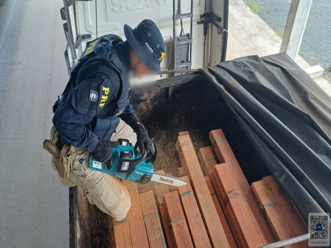 Em Ji Paraná/RO, PRF identifica transporte irregular de madeira — Polícia Rodoviária Federal