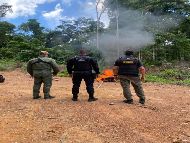 PF dá início à 4ª fase da Operação Greenwashing, visando combater crimes de apropriação de terras públicas e delitos ambientais — Polícia Federal