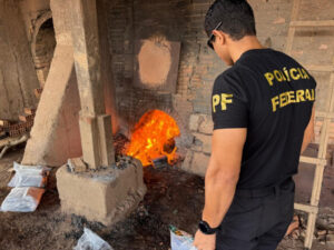 Polícia Federal incinera 130 quilos de drogas em Guajará Mirim/RO — Polícia Federal