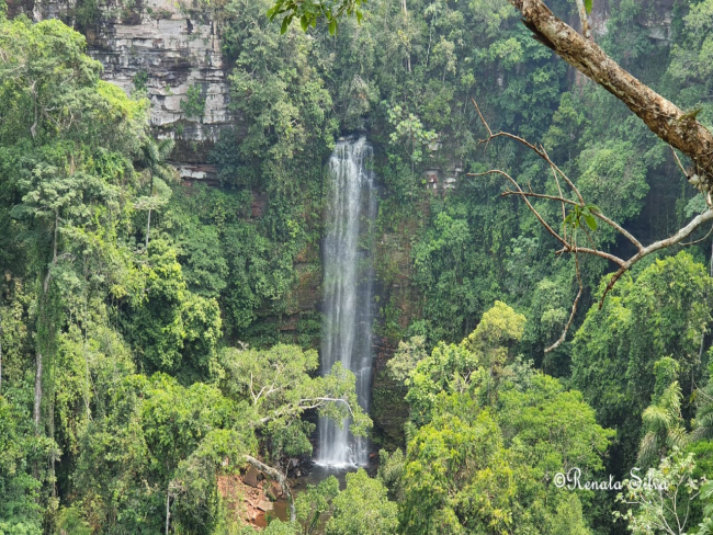 Turismo   Dia do Turismo Ecológico: governo de RO celebra data e apresenta belezas naturais como destino no Carnaval 2025   Governo do Estado de Rondônia     		Governo do Estado de Rondônia