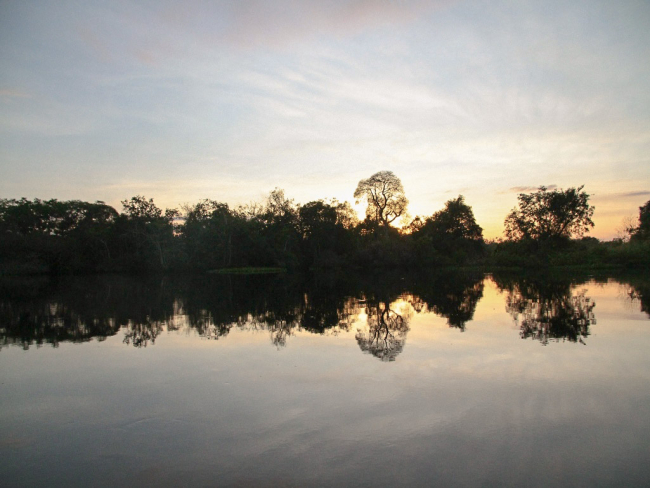 Turismo   Rondônia destaca suas riquezas naturais na maior Feira de Turismo da Europa   Governo do Estado de Rondônia     		Governo do Estado de Rondônia
