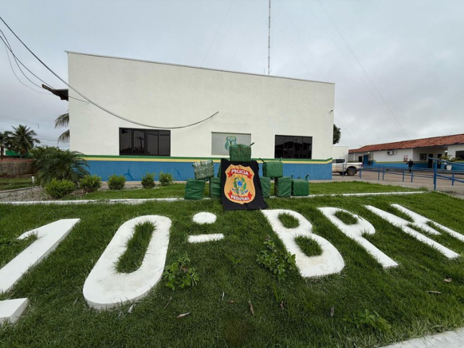 PF e PM/RO prendem duas pessoas em flagrante com 350 kg de drogas — Polícia Federal