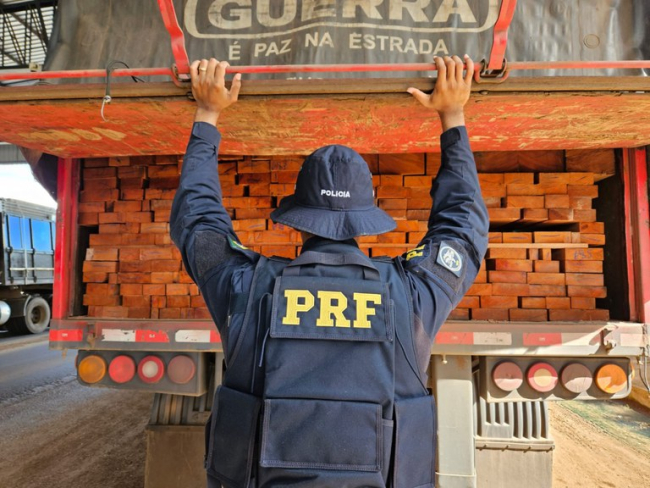PRF em Rondônia, no último final de semana, apreendeu mais de 88 m³ de madeira transportada irregularmente — Polícia Rodoviária Federal
