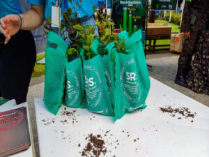 Desenvolvimento Ambiental   Semana do Meio Ambiente 2025; atividades iniciam na próxima segunda feira, 2, no Complexo Madeira Mamoré   Governo do Estado de Rondônia     		Governo do Estado de Rondônia
