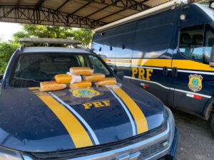 Em Ji Paraná/RO, PRF apreende Maconha sendo transportada por homem em ônibus — Polícia Rodoviária Federal