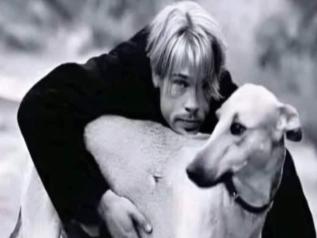 Brad Pitt adotou cães de rua na Argentina; entenda