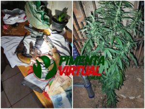 arma