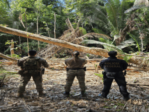PF deflagra operação contra crimes ambientais em Terra Indígena em Rondônia — Polícia Federal