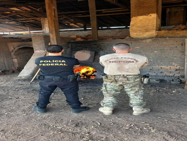 PF realiza incineração de 400kg de entorpecentes em Guajará Mirim/RO — Polícia Federal