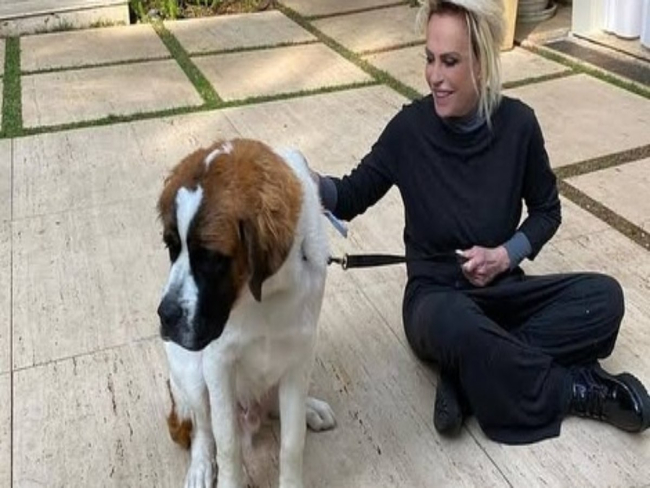 Ana Maria Braga lamenta perda de cachorro: