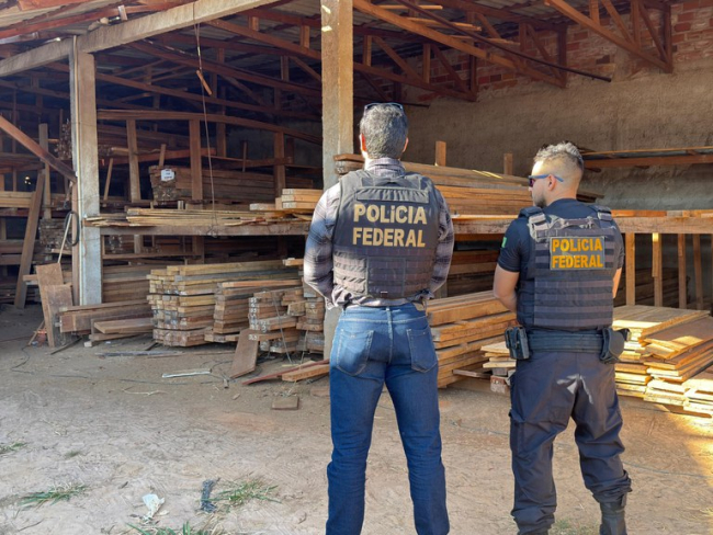 PF deflagra Operação Benevolentia contra extração ilegal de madeira em Terras Indígenas de Rondônia — Polícia Federal