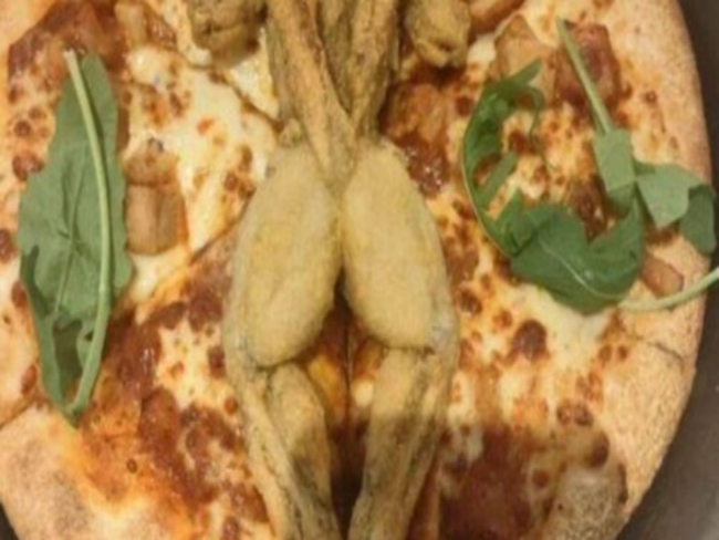 Rede famosa mundialmente inova e cria pizza utilizando sapo como cobertura