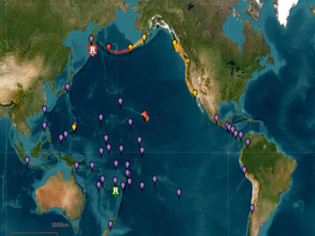 Terremoto no Pacífico provoca tsunamis e alertas em vários países