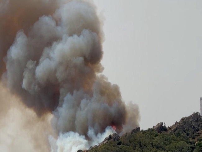 Incêndios florestais devastam Europa e deixam mortos e feridos