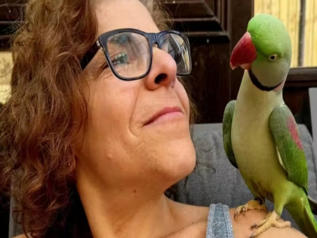 Periquito desaparecido reaparece a 160 km de casa