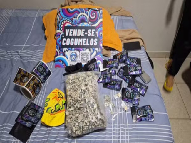 Ação mira rede criminosa que vendia